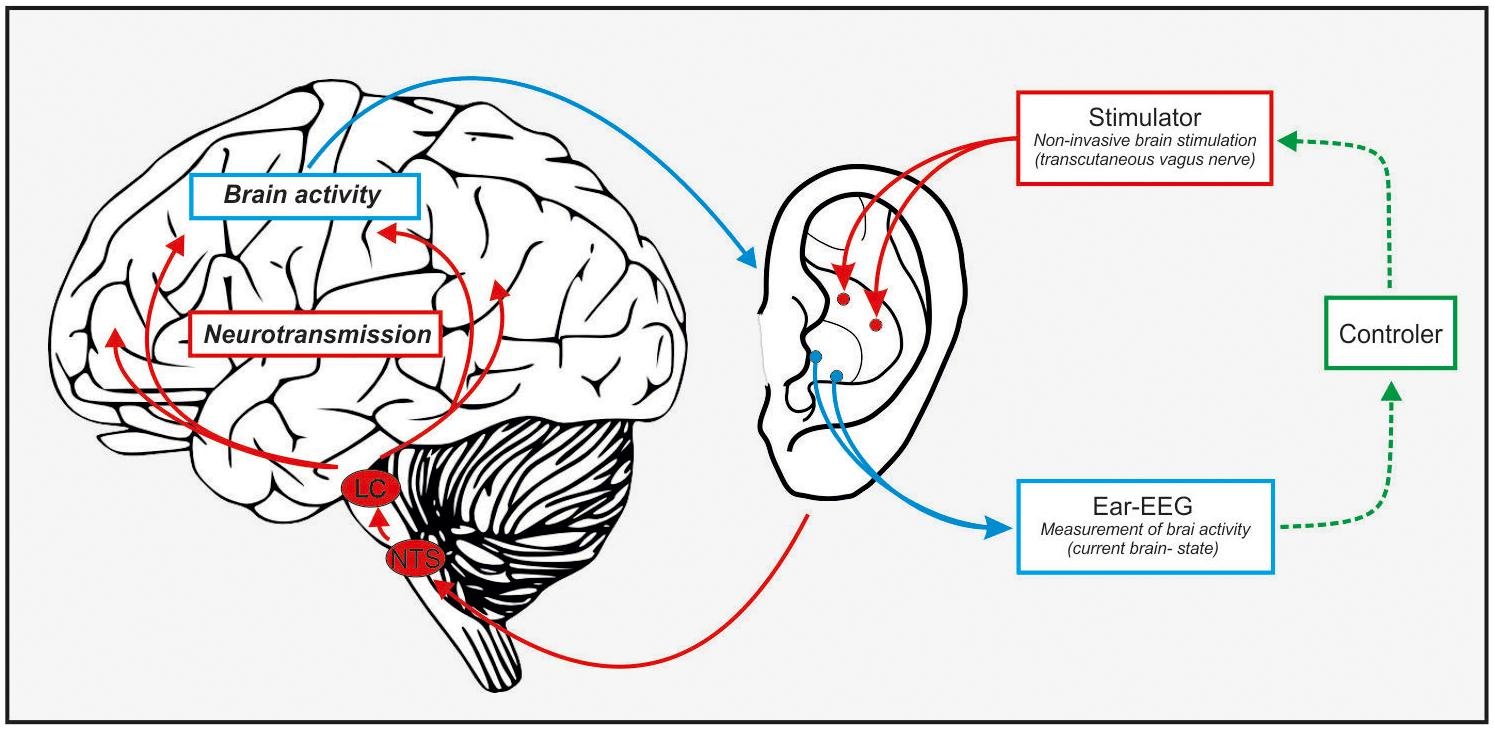 An abstract representation of the Vagus nerve connecting the ear to the brain for healing signal transmission.